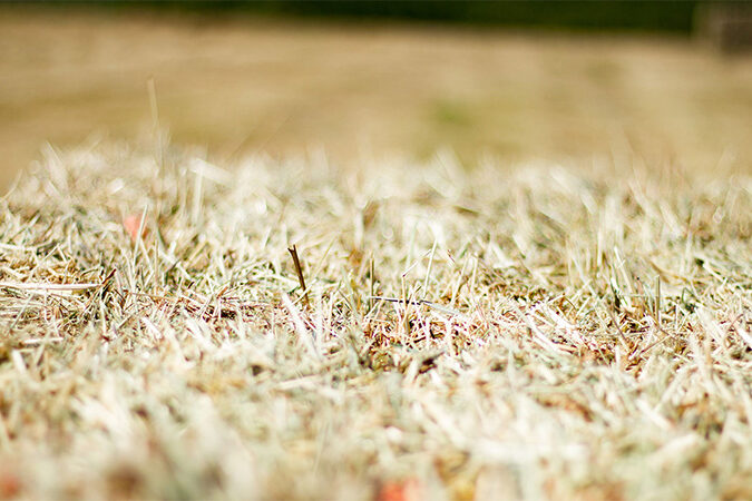 2021 Hay and Straw Orders